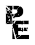 P E is